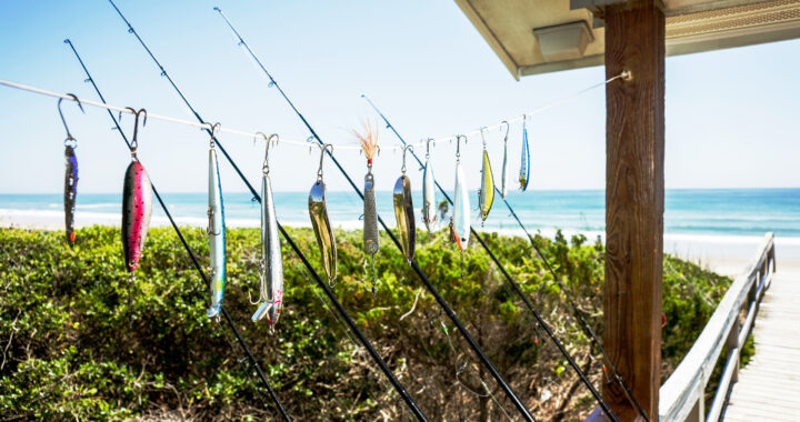 multiple fishing rods are lined up along a dock