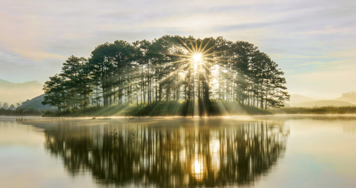 The sun shines through trees on an island surrounded by water.